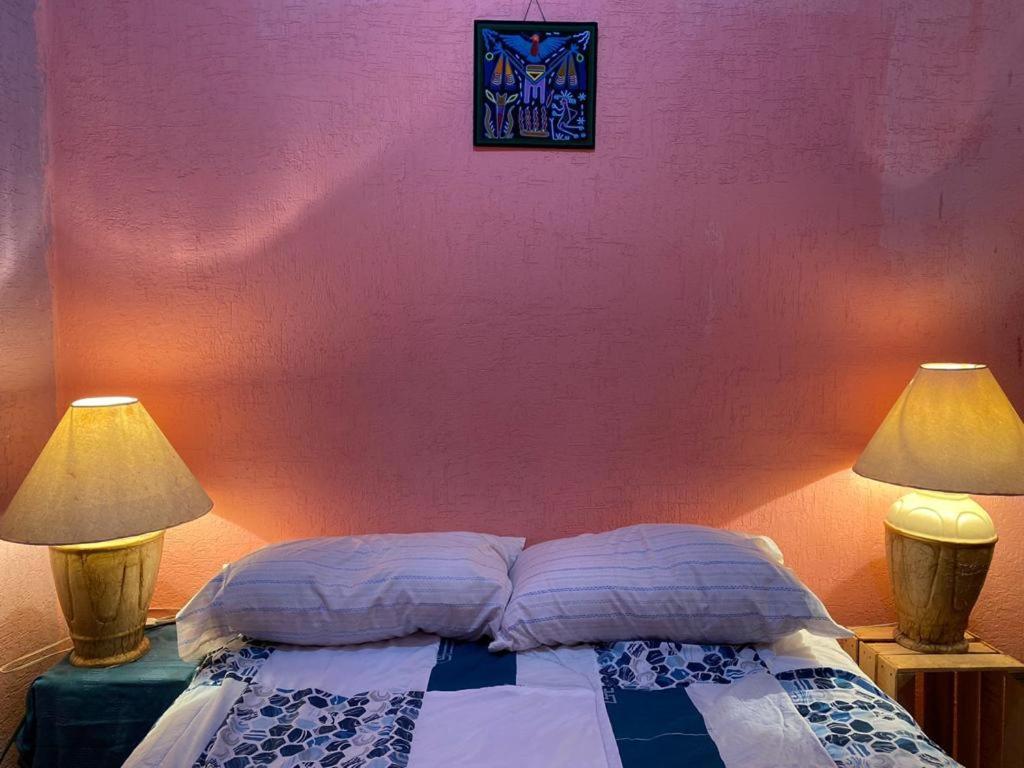 سان لويس بوتوسي Hostal Del Centro En Slp المظهر الخارجي الصورة