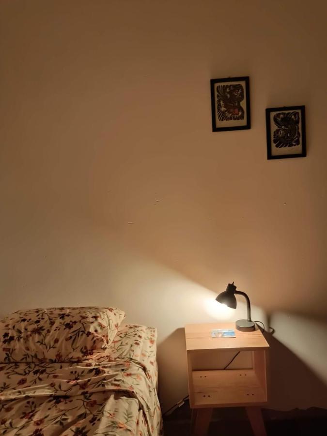سان لويس بوتوسي Hostal Del Centro En Slp المظهر الخارجي الصورة